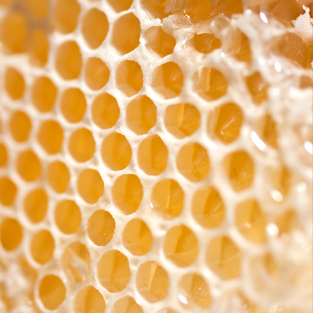 Our ingredients: Maui beeswax, the heart of every balm